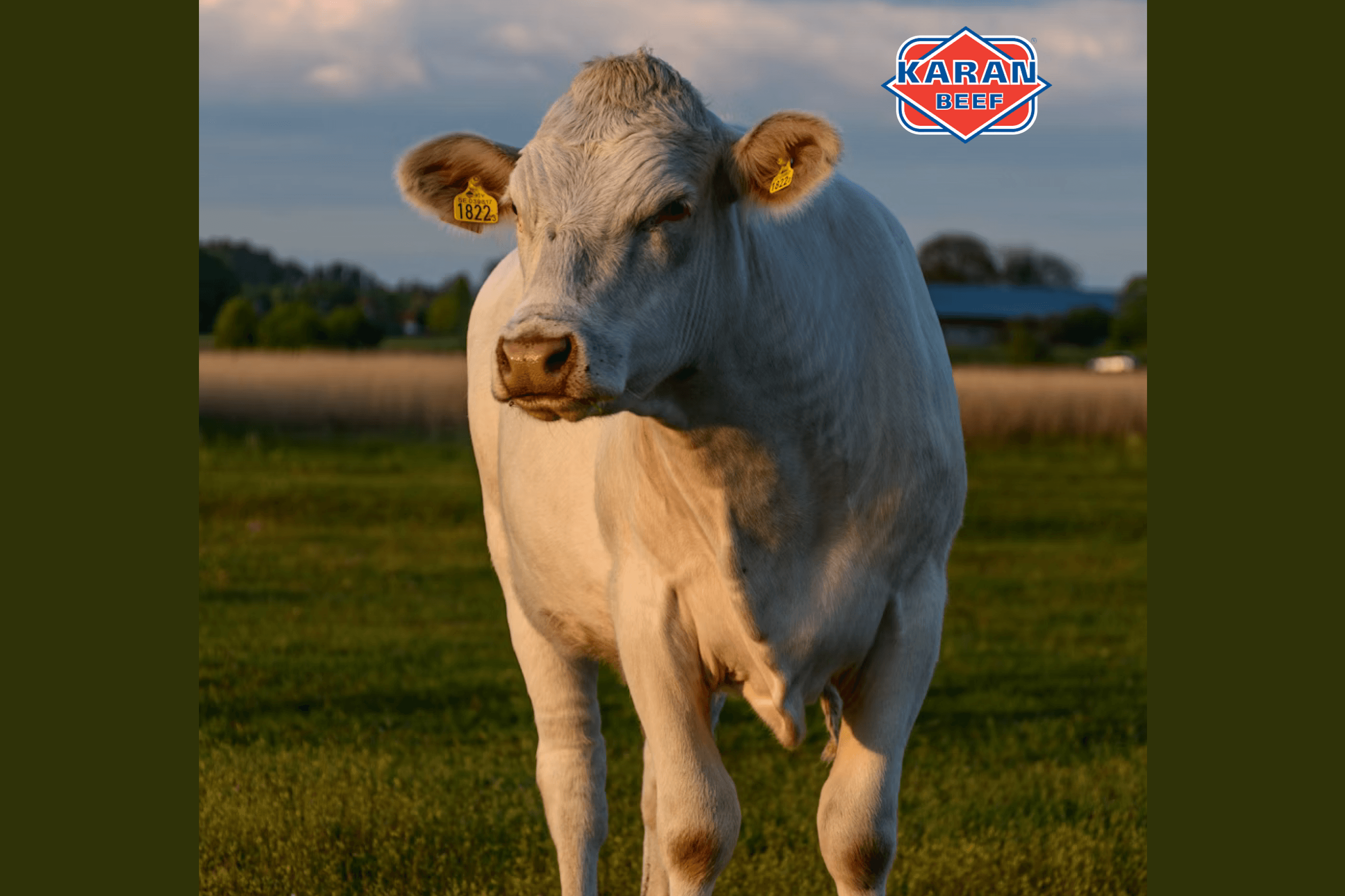 Exceptional Quality, Exceptional Returns, and it's home Grown.